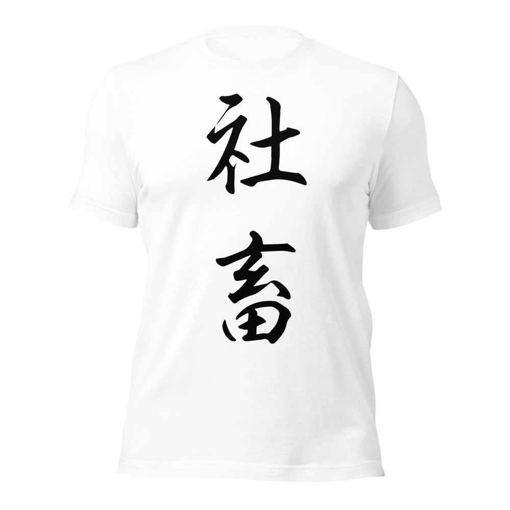 white T-Shirt